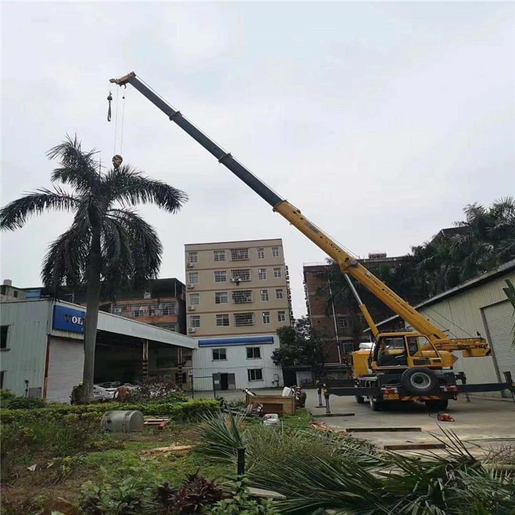 马山吊车吊大树几种方法